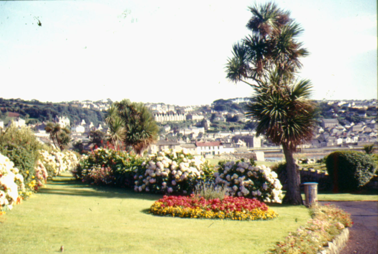 colour photograph