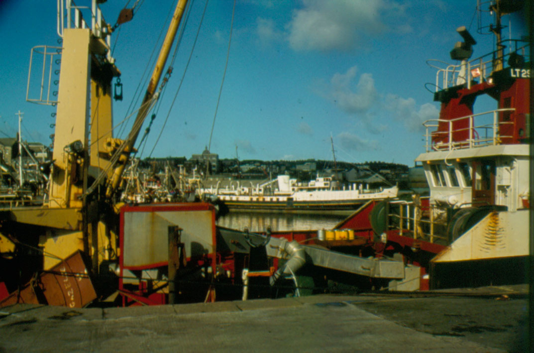 colour 35 mm slide