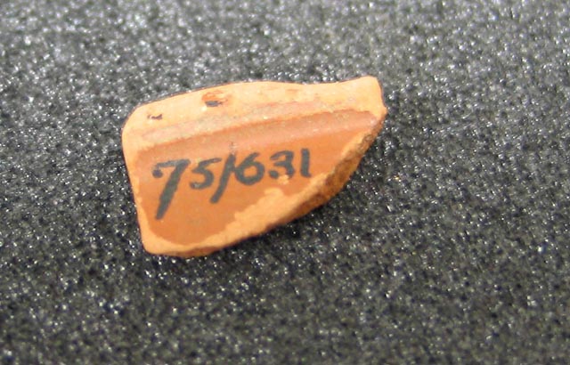 samian ware sherd rim