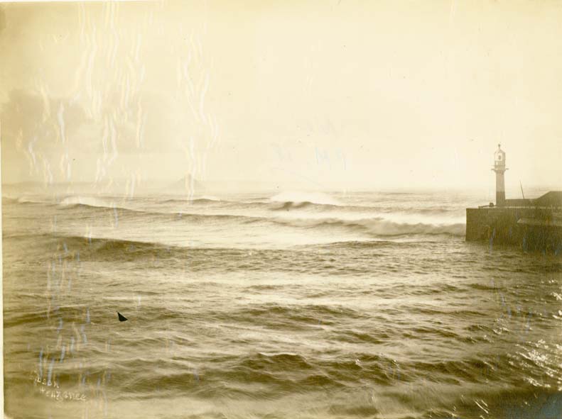 sepia print