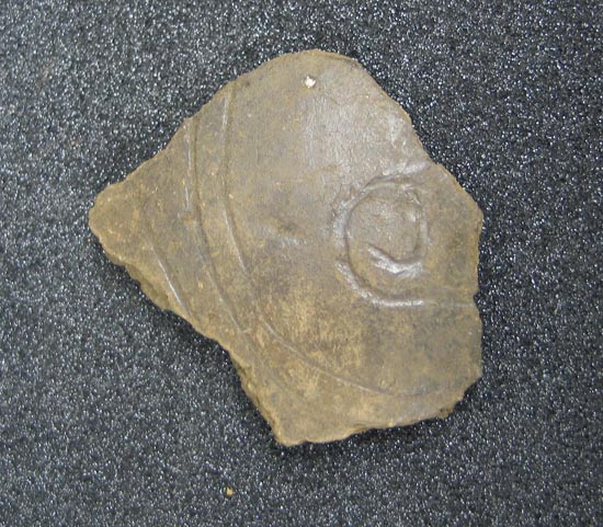 sherds