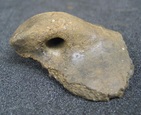 sherd
