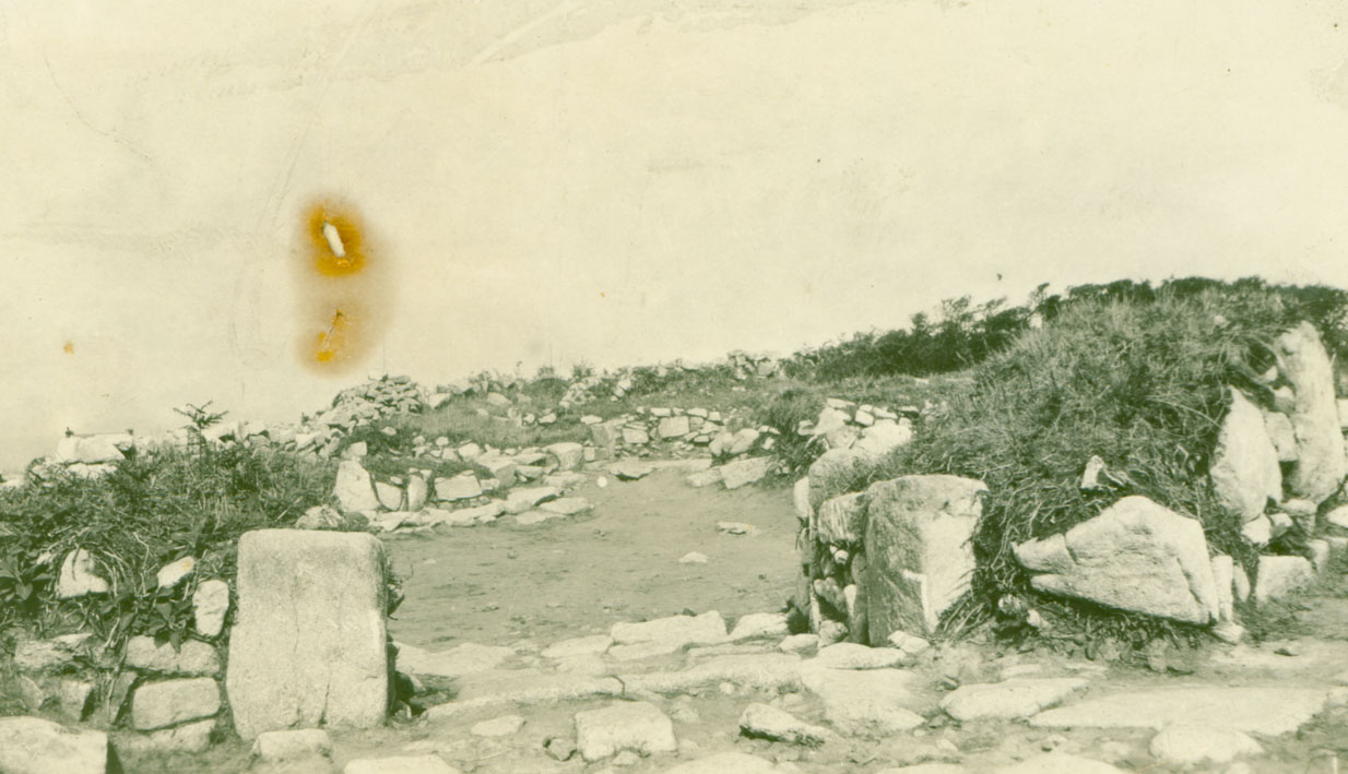 photograph