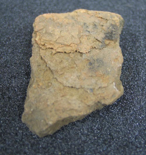 sherds, nineteen