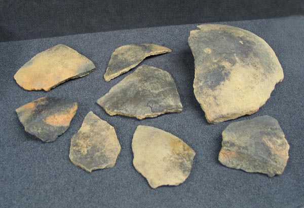 sherds, eleven