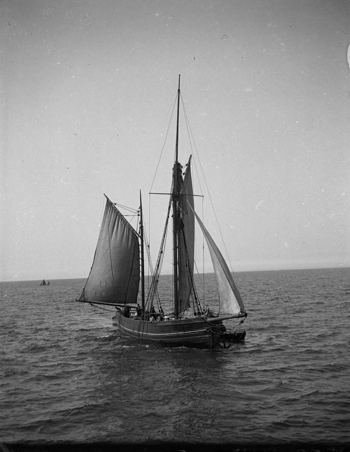 photograph