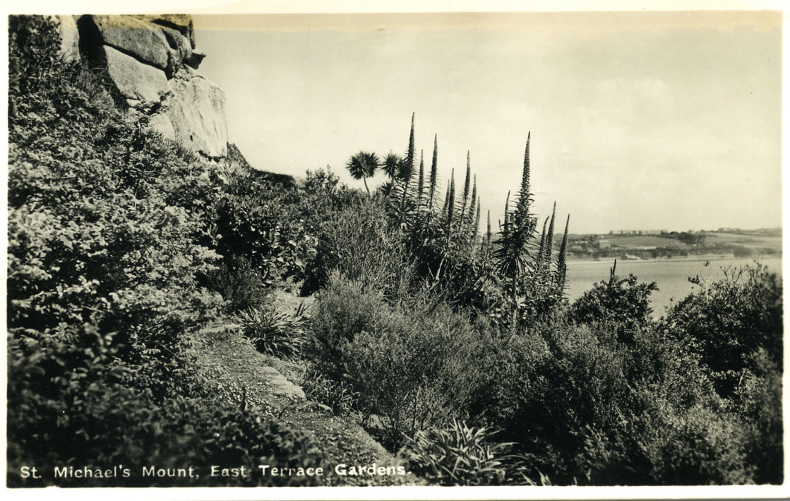 black and white postcard