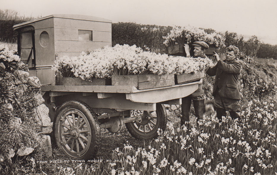 b/w postcard