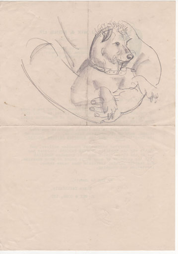 pencil drawing