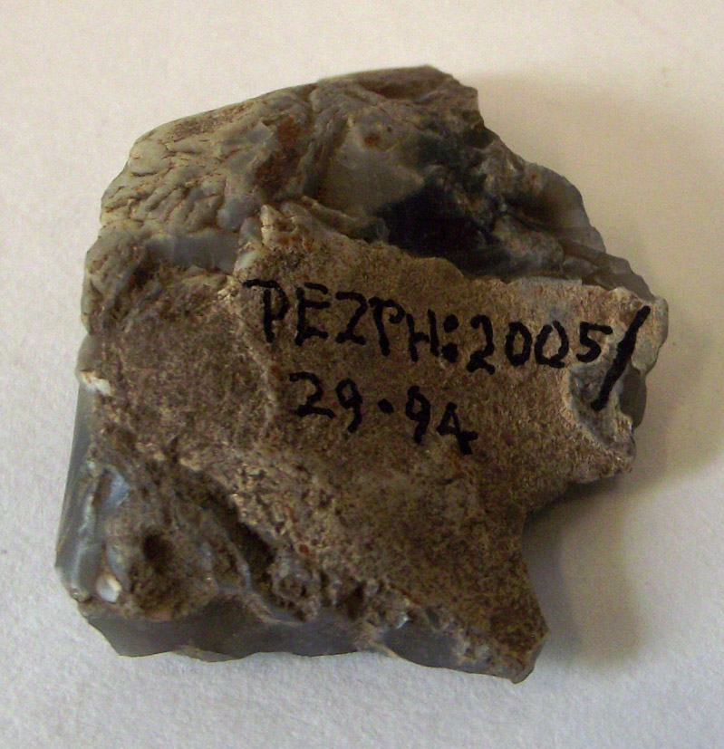 amorphous flint flake