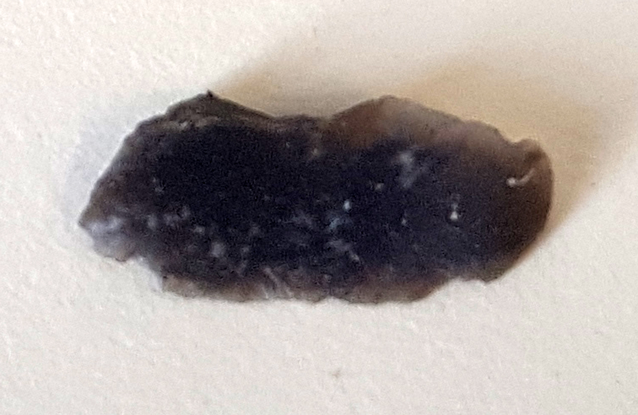 flint flake