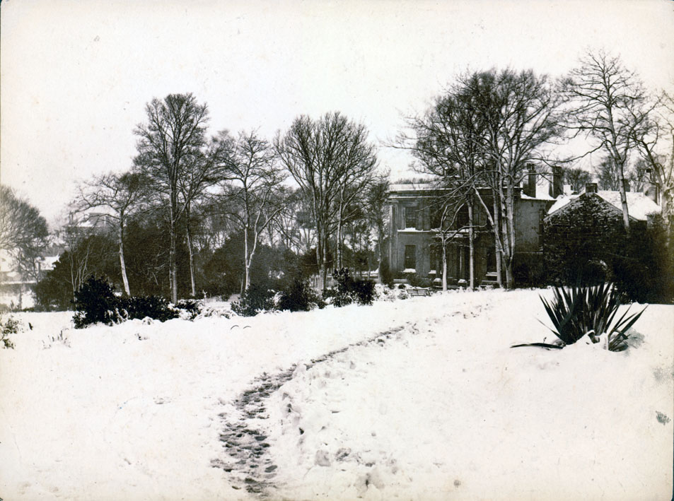 sepia albumen print