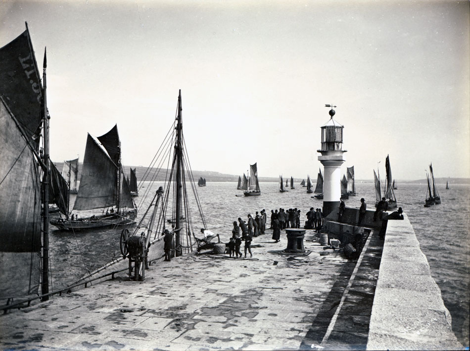 sepia albumen print