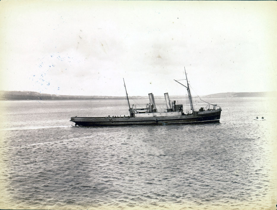 sepia albumen print
