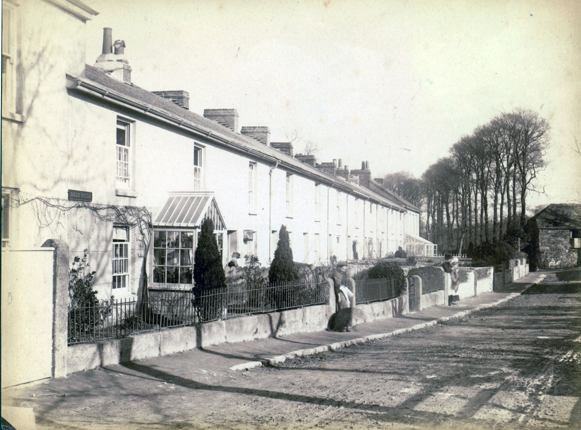 sepia albumen print