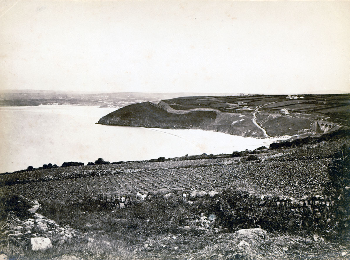 sepia albumen print