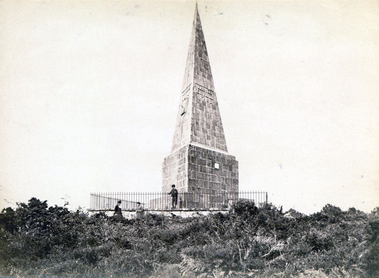 sepia albumen print
