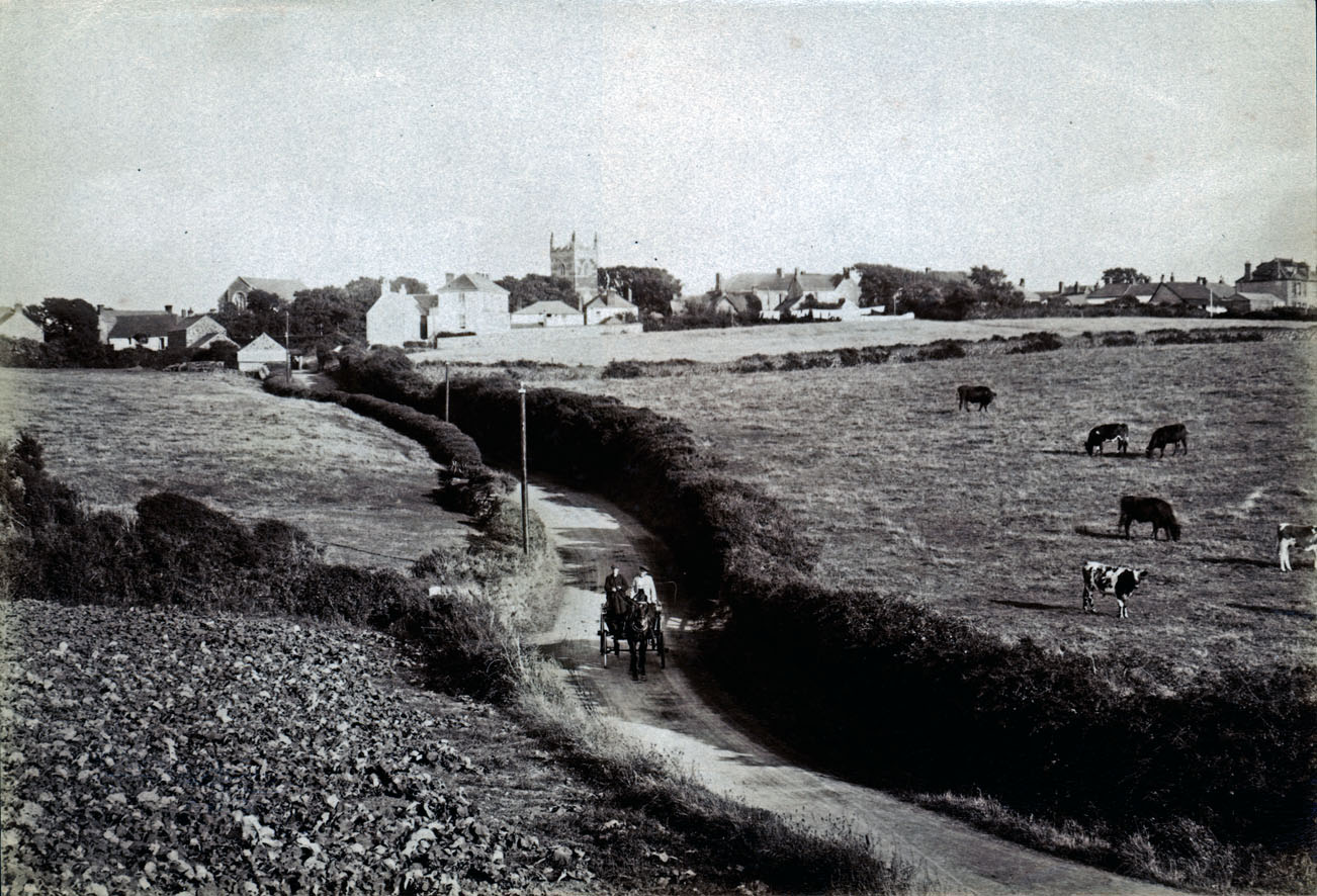 sepia albumen print