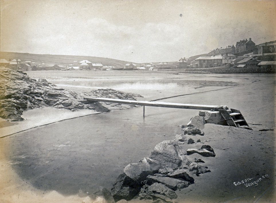 sepia albumen print