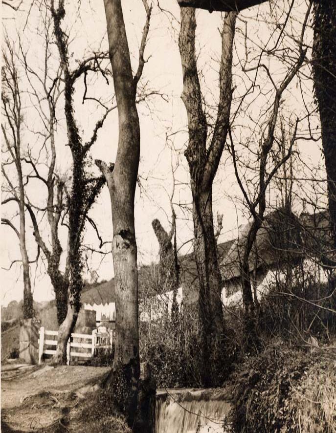 photograph