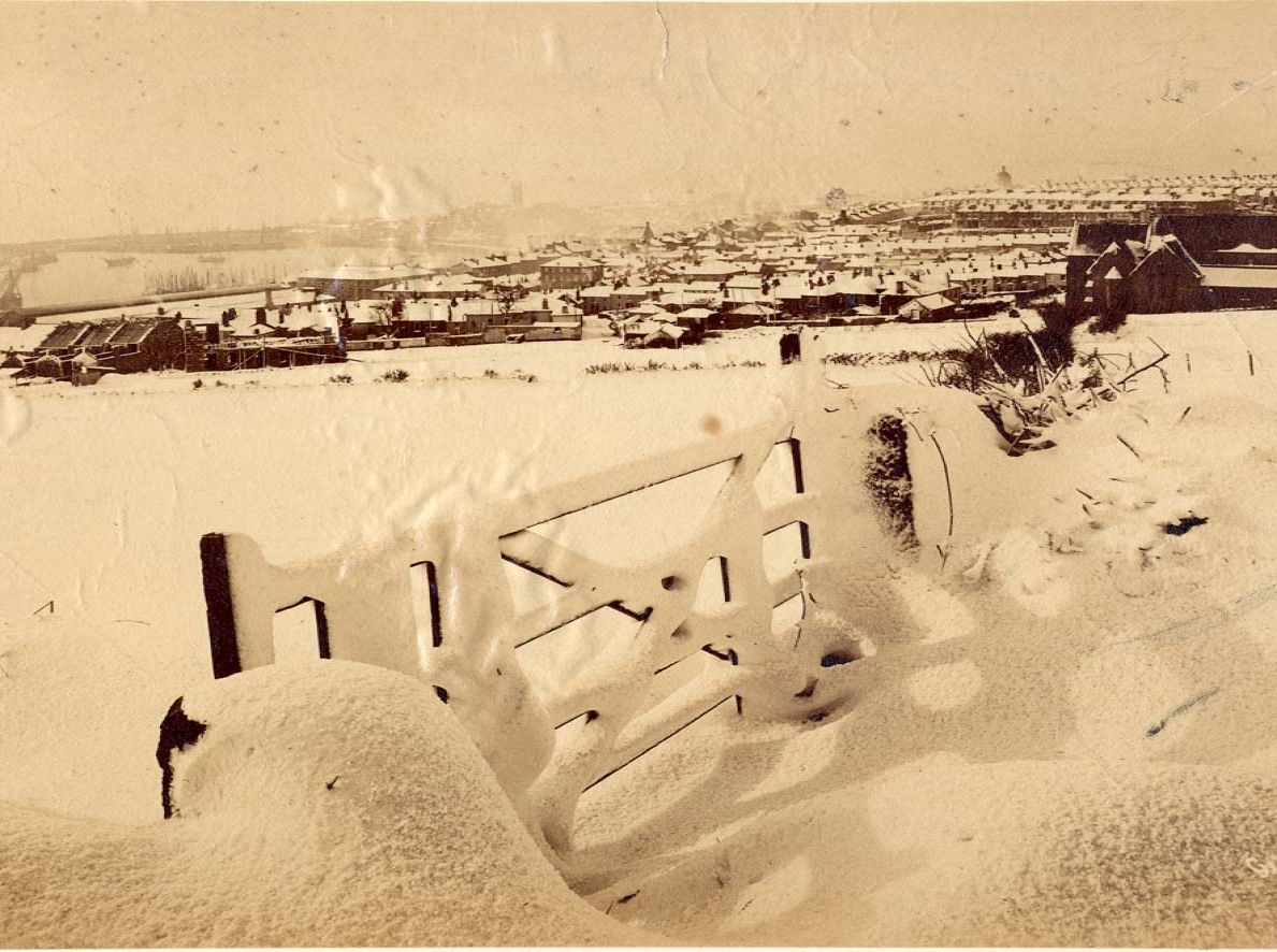 photograph