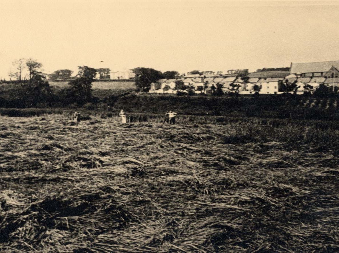 photograph