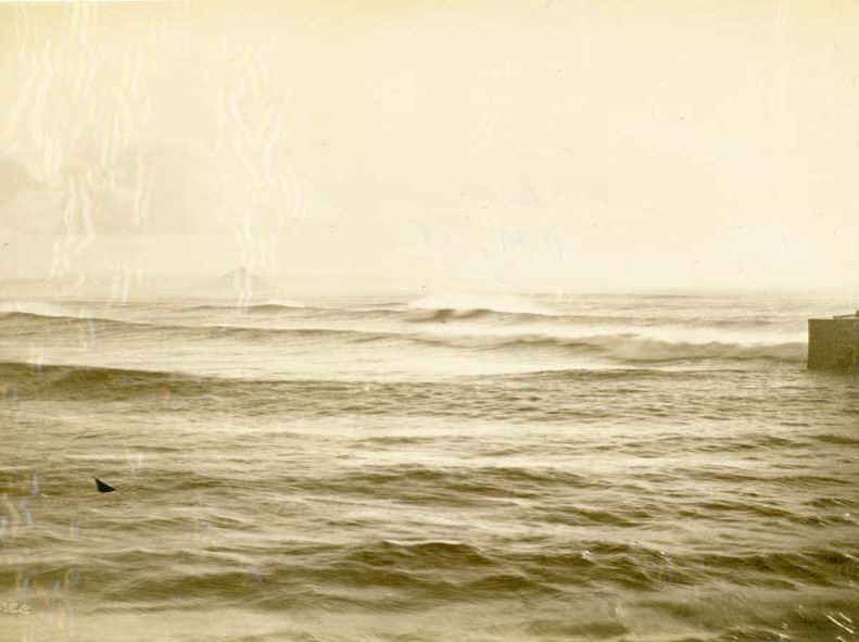 sepia print