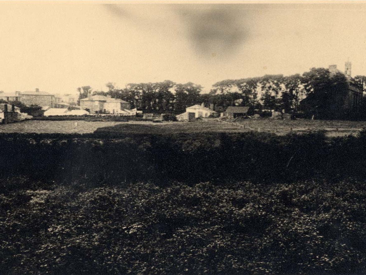 photograph