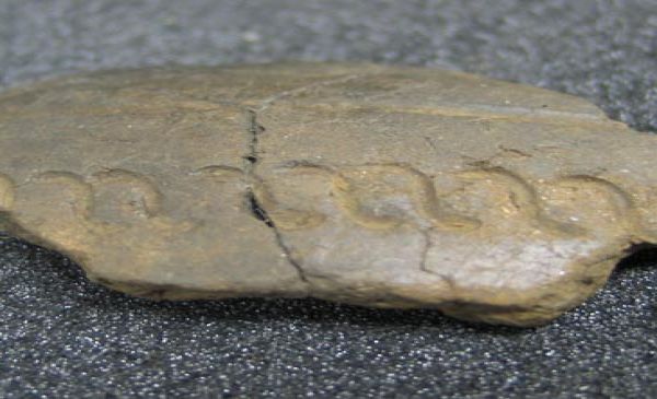 sherd