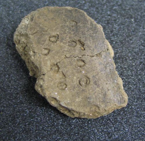 sherds