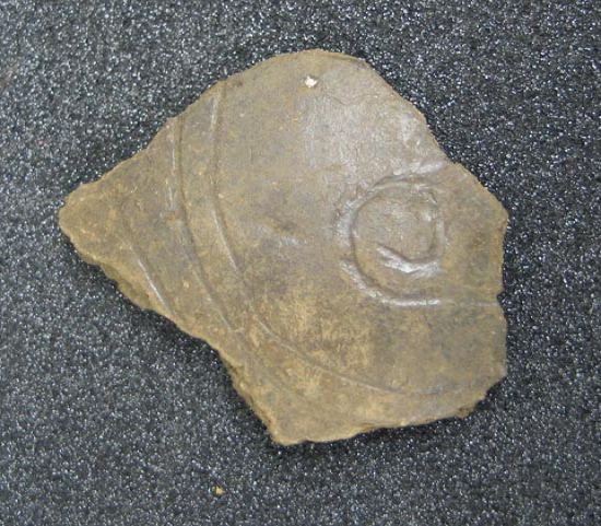 sherds