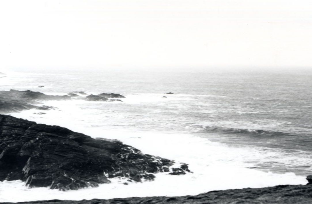 photograph
