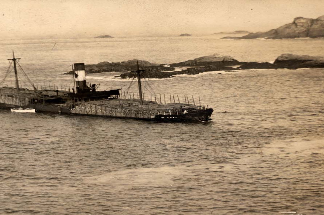 sepia photograh