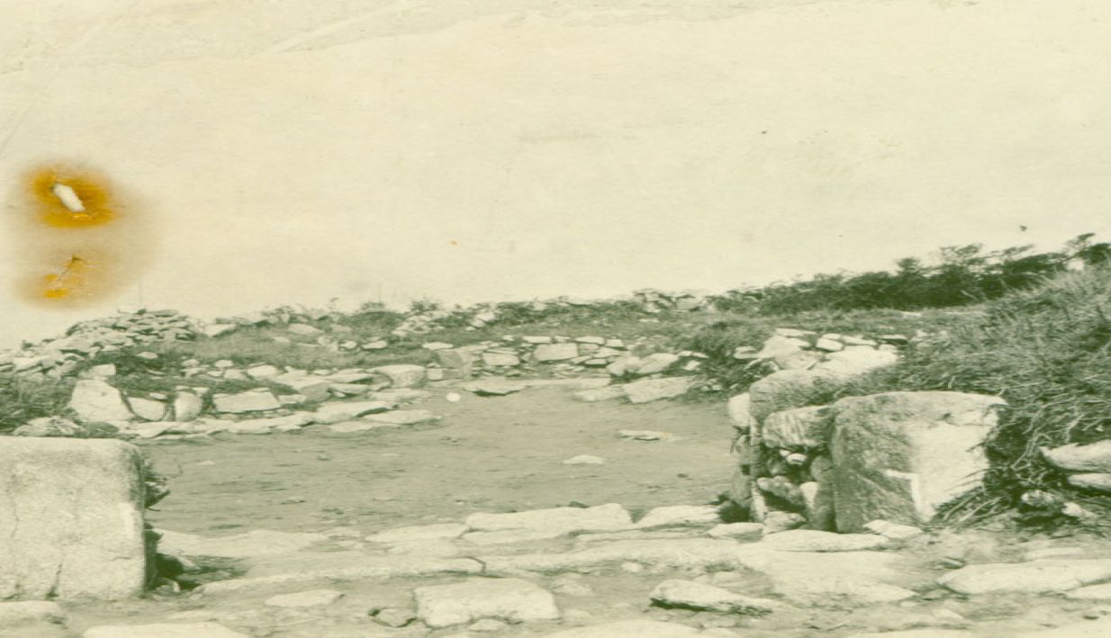 photograph