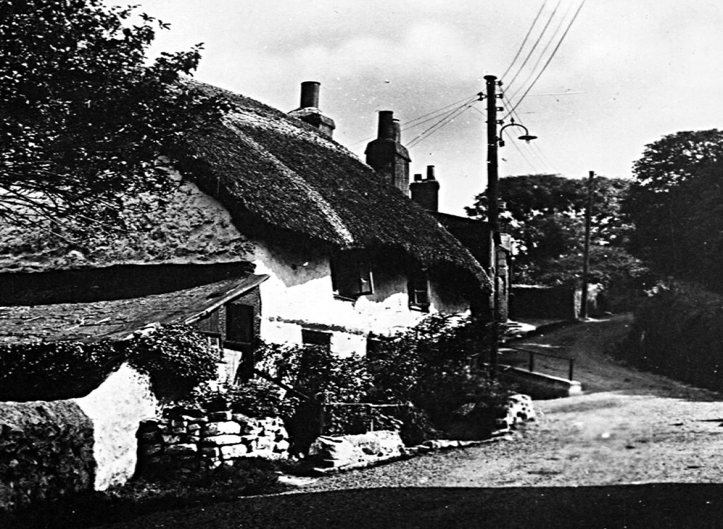 photograph
