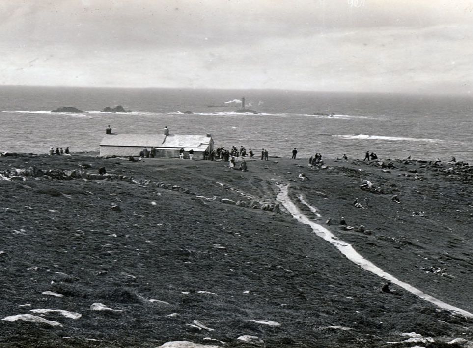 photograph