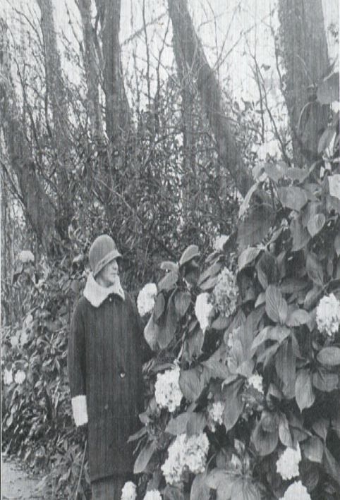 photograph