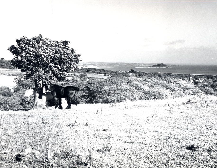 photograph
