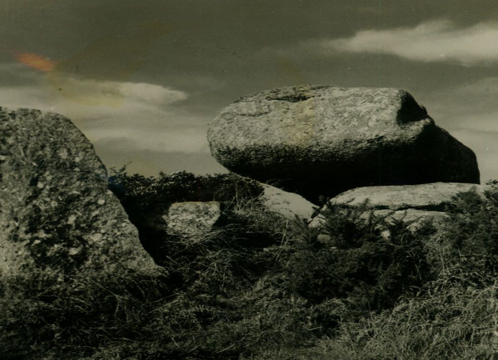photograph