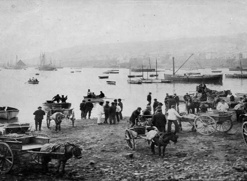 photograph