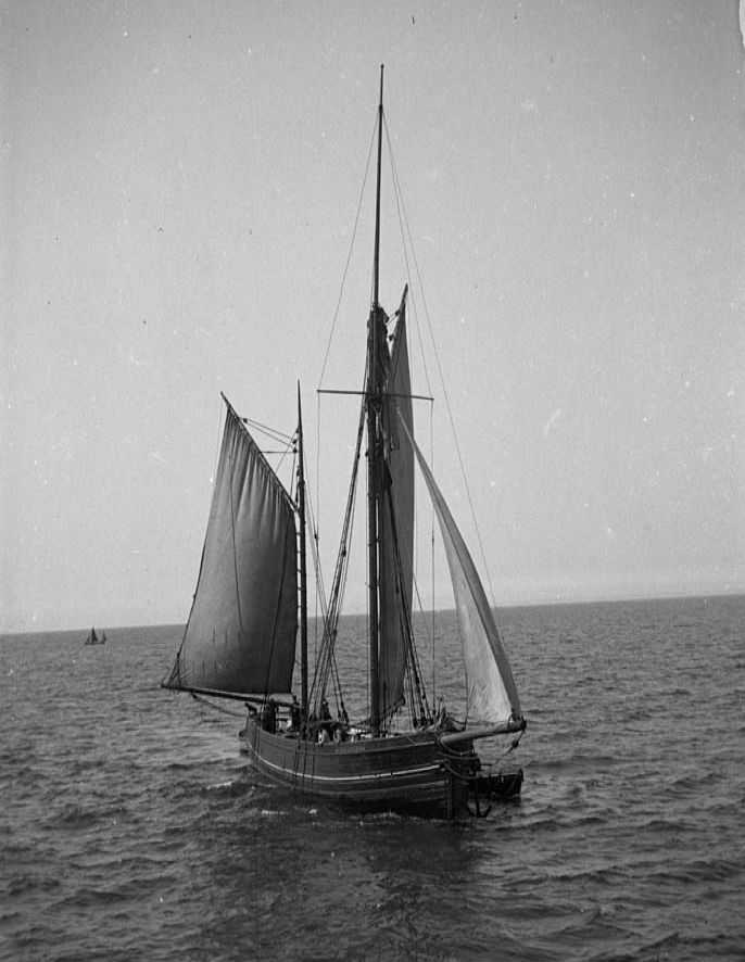 photograph