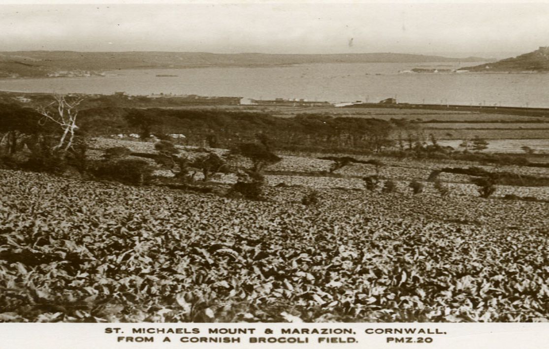 postcard