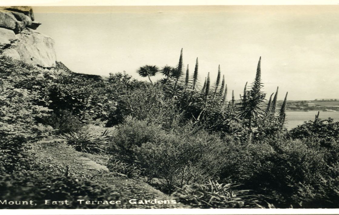 black and white postcard