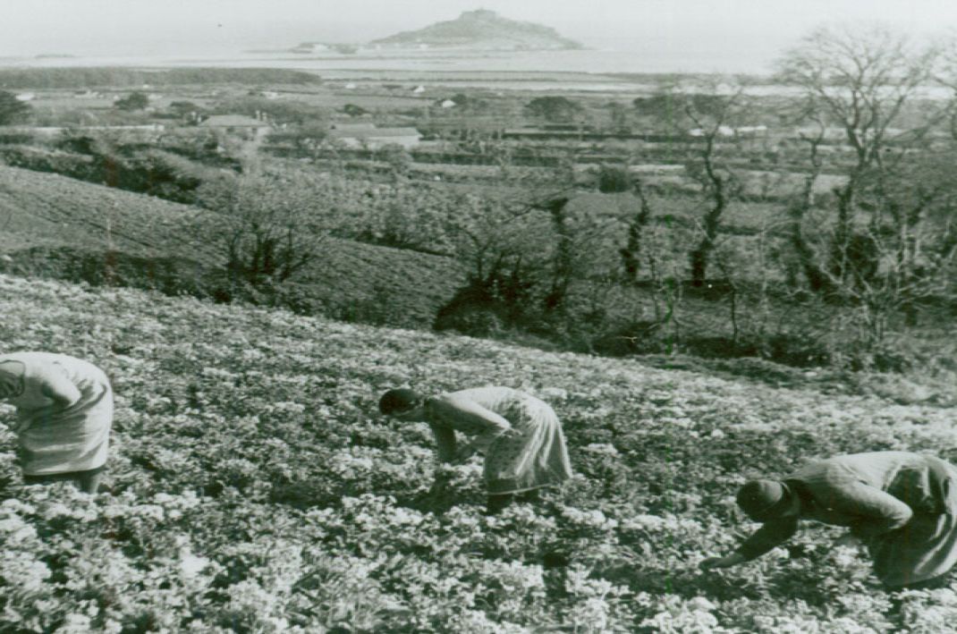 photograph