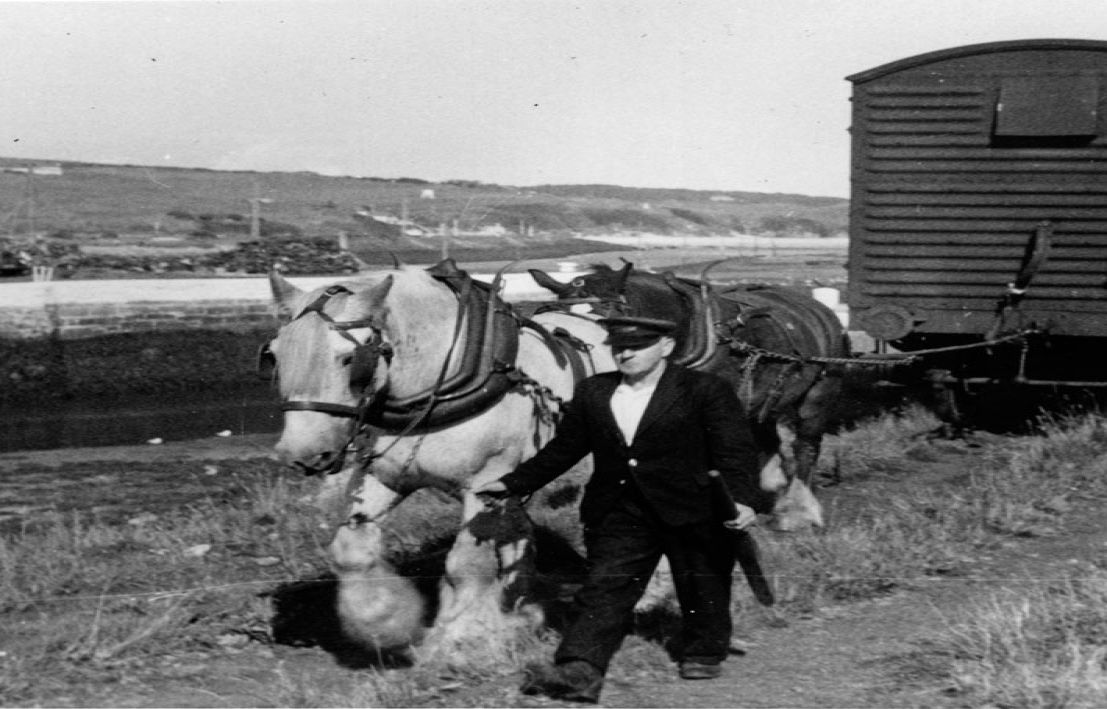 photograph