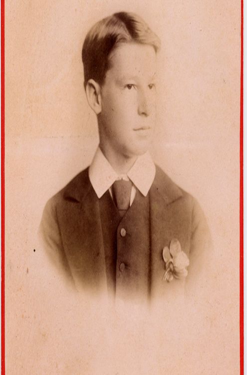 cabinet card