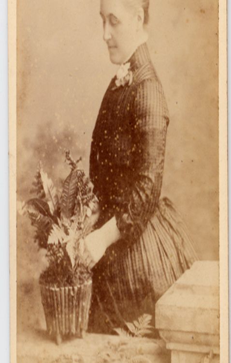 carte de visite