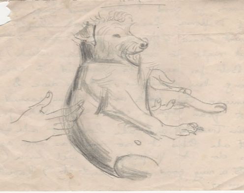pencil drawing