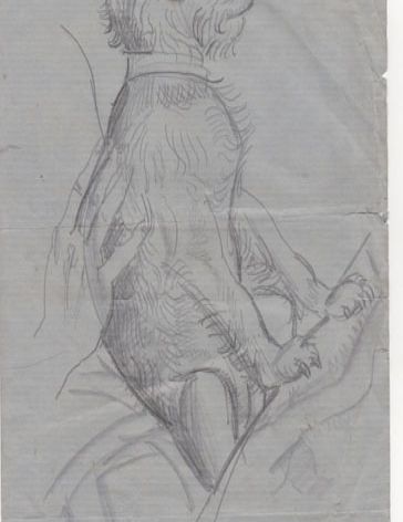 pencil drawing