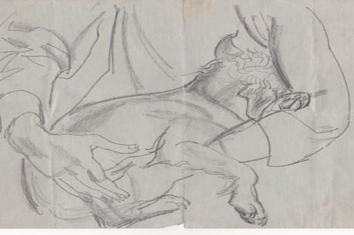 pencil drawing